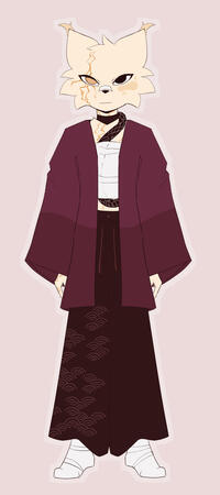 Character based on Nine Sols Character based on Nine Sols